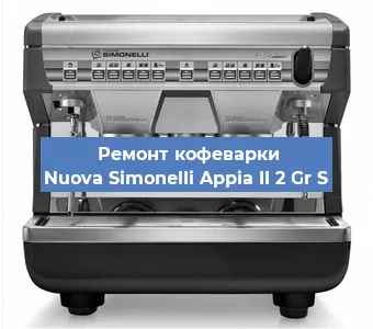 Замена фильтра на кофемашине Nuova Simonelli Appia II 2 Gr S в Перми